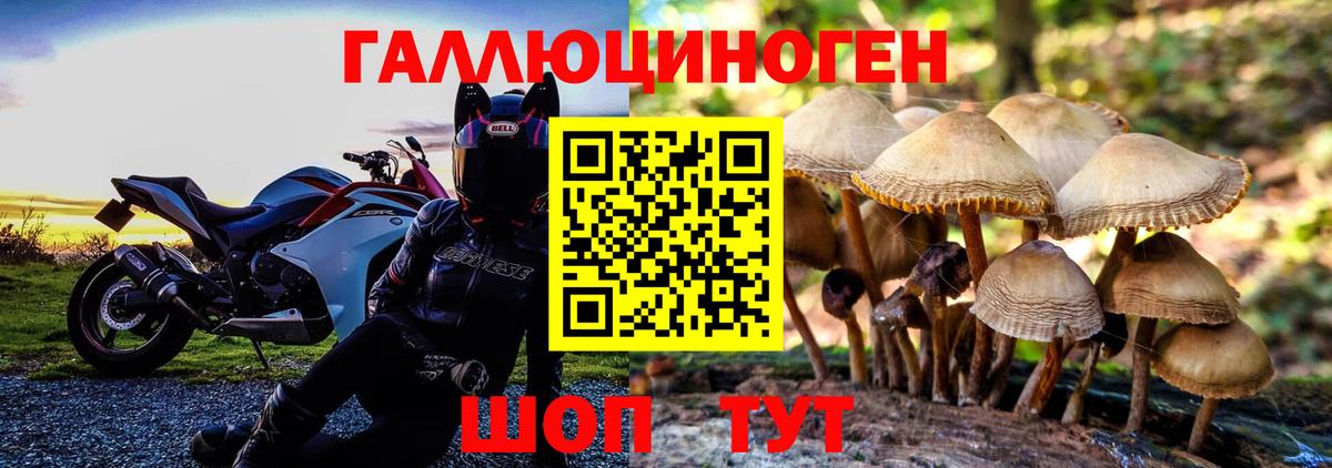 Псилоцибиновые грибы прущие грибы  продажа наркотиков  Коломна  Вход с VPN 